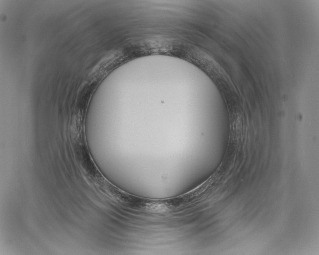 X0000060580218200511241349