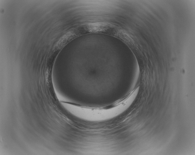 X0000060580219200511241349