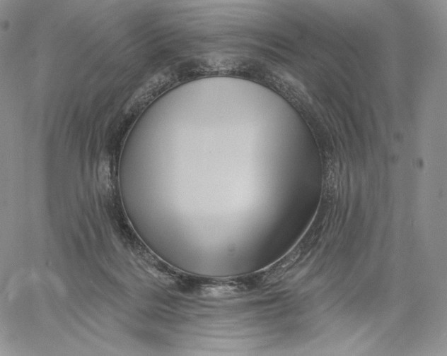 X0000060580220200511241349