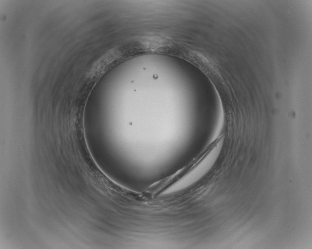 X0000060580221200511241349