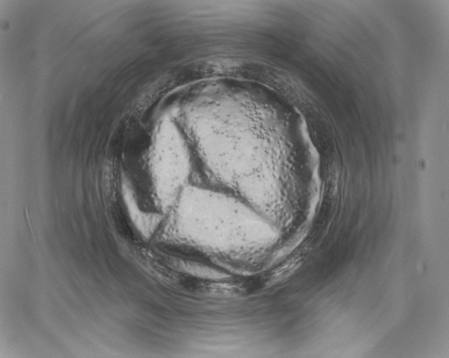 X0000060580222200511241349