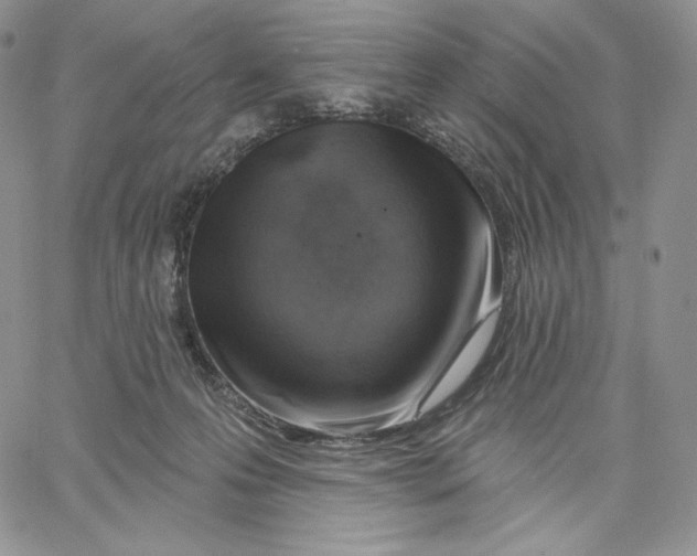 X0000060580223200511241349