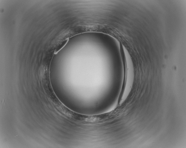 X0000060580225200511241349