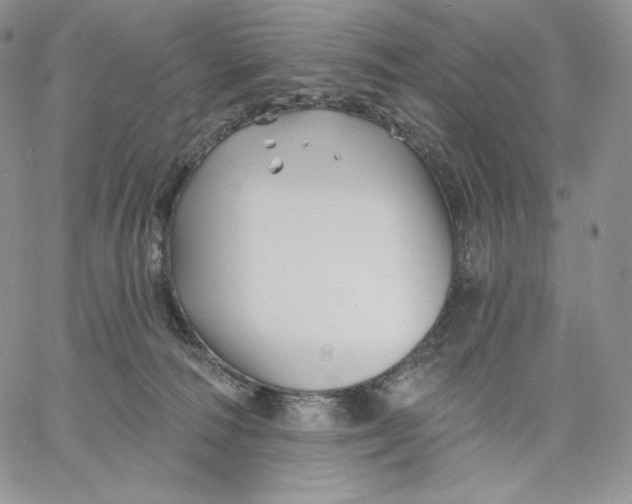 X0000060580226200511241349