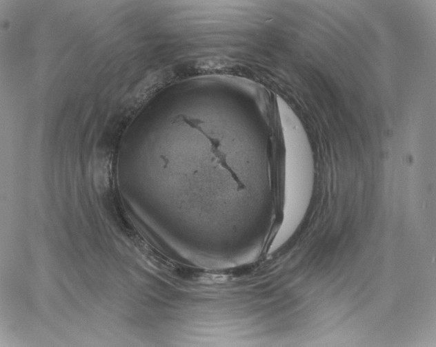 X0000060580227200511241349