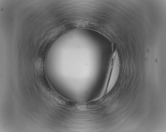 X0000060580228200511241349