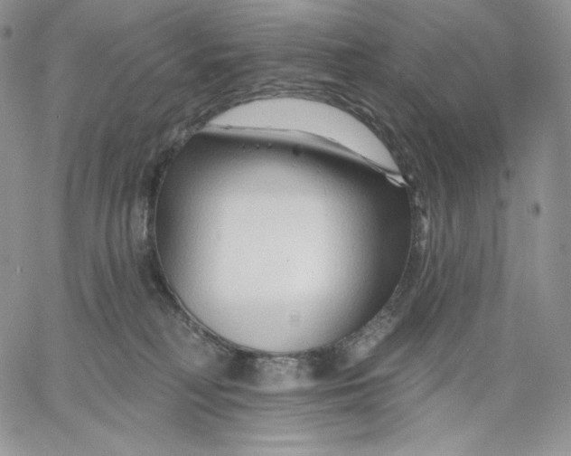 X0000060580230200511241349