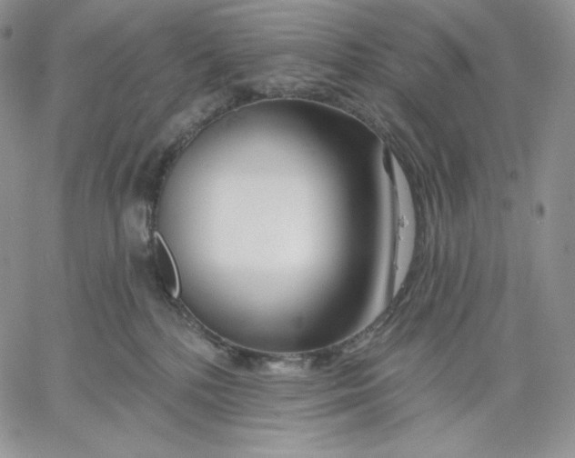 X0000060580232200511241349