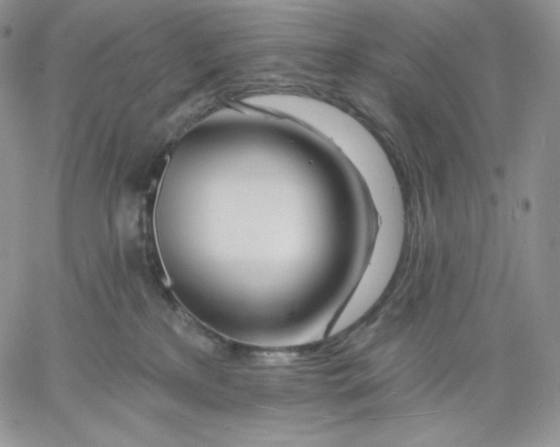 X0000060580233200511241349