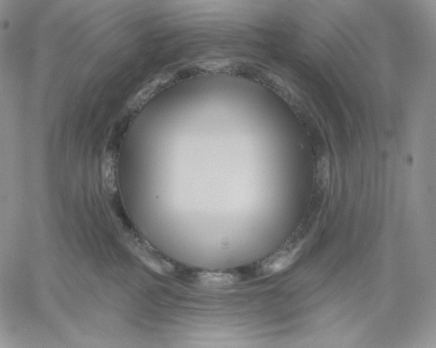 X0000060580234200511241349