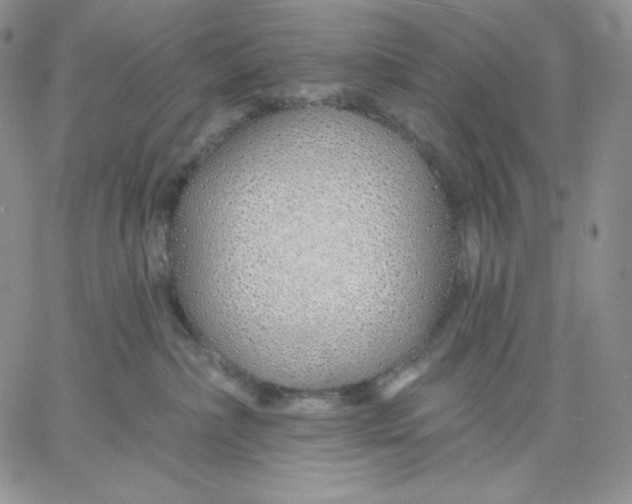 X0000060580236200511241349