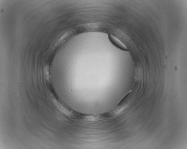 X0000060580238200511241349