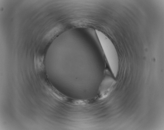 X0000060580239200511241349