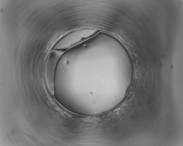 X0000060580241200511241348