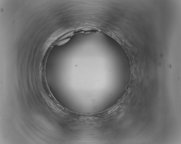 X0000060580242200511241348