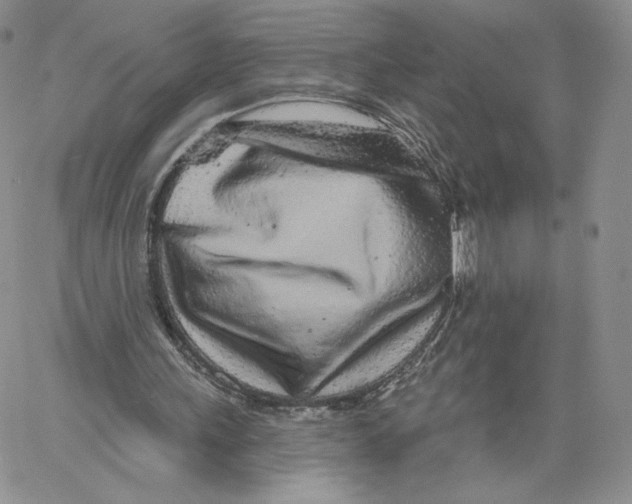 X0000060580243200511241348