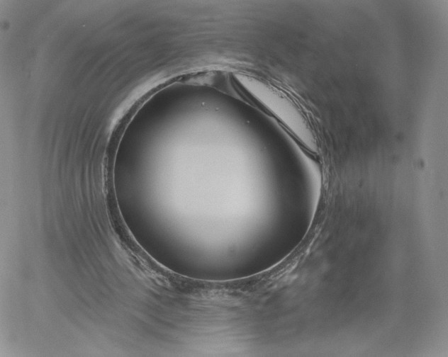 X0000060580244200511241348