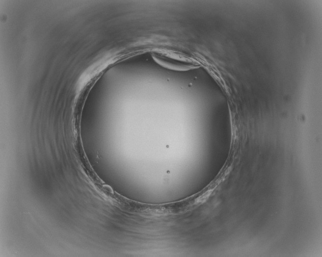 X0000060580245200511241348