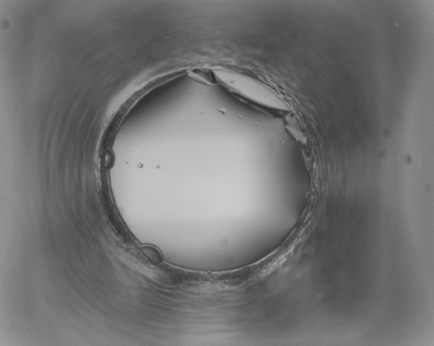 X0000060580246200511241348