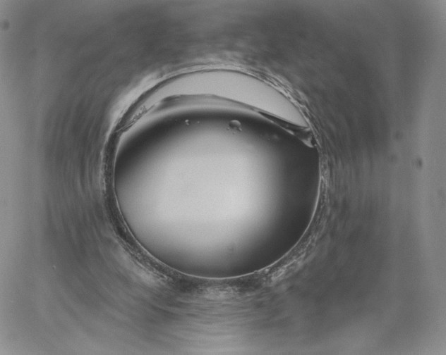 X0000060580248200511241348