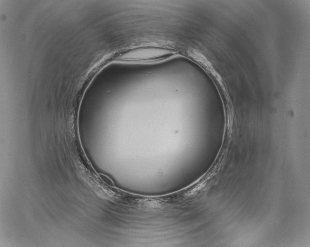 X0000060580249200511241348