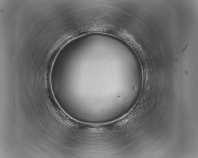 X0000060580250200511241348