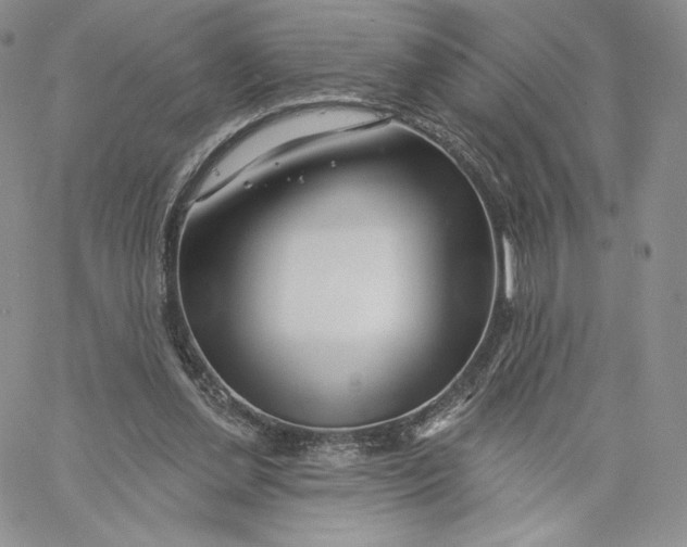 X0000060580252200511241348