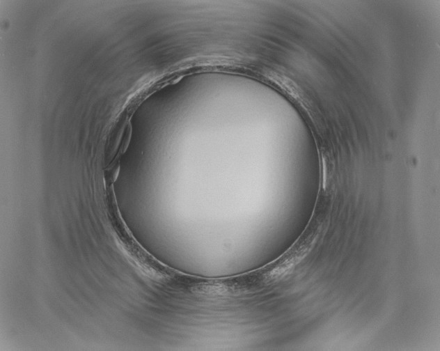 X0000060580253200511241348