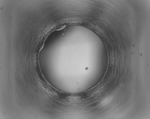 X0000060580255200511241348