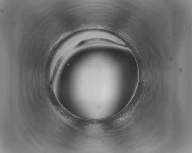 X0000060580256200511241348