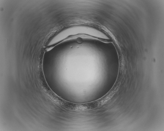 X0000060580257200511241348