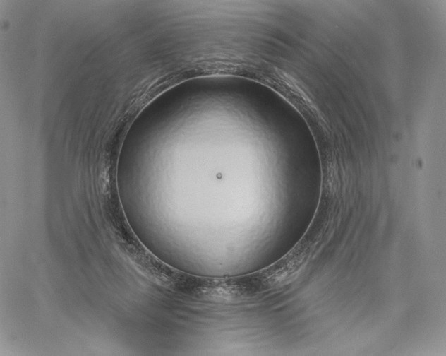 X0000060580259200511241348