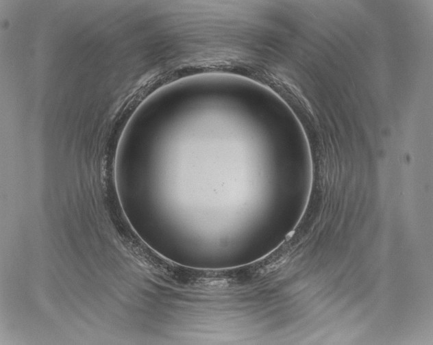 X0000060580260200511241348