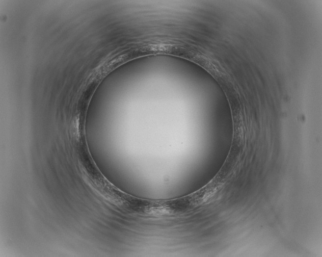 X0000060580262200511241348