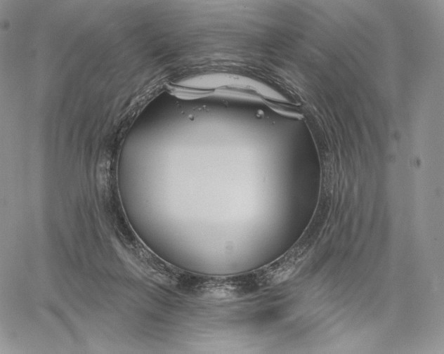 X0000060580263200511241348