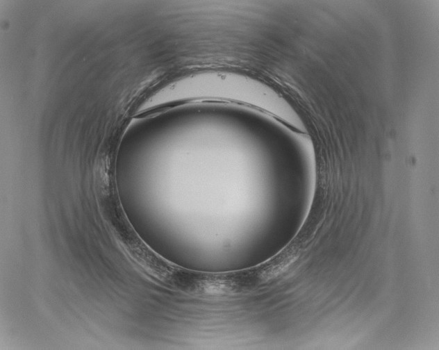 X0000060580264200511241348