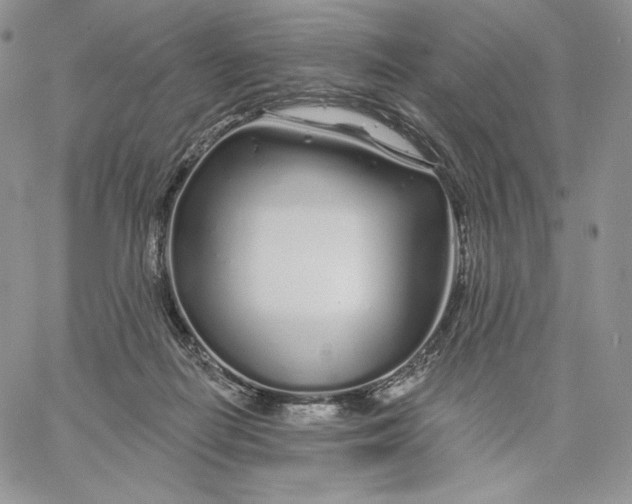 X0000060580266200511241348