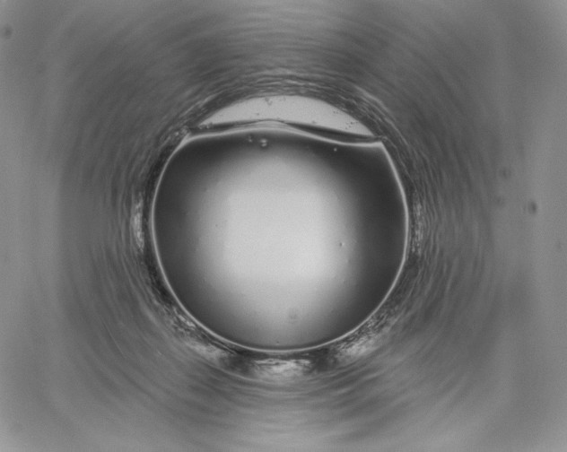 X0000060580267200511241348