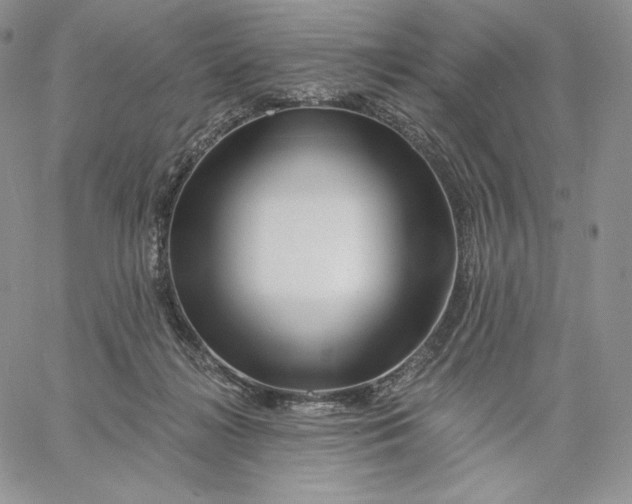 X0000060580268200511241348