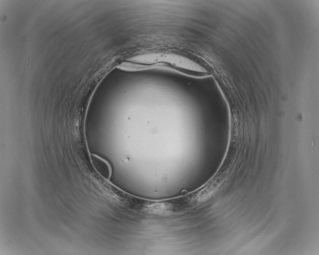 X0000060580269200511241348