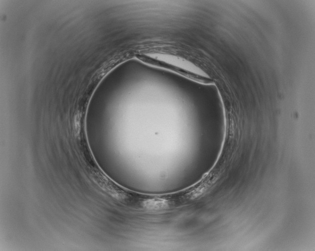 X0000060580271200511241349