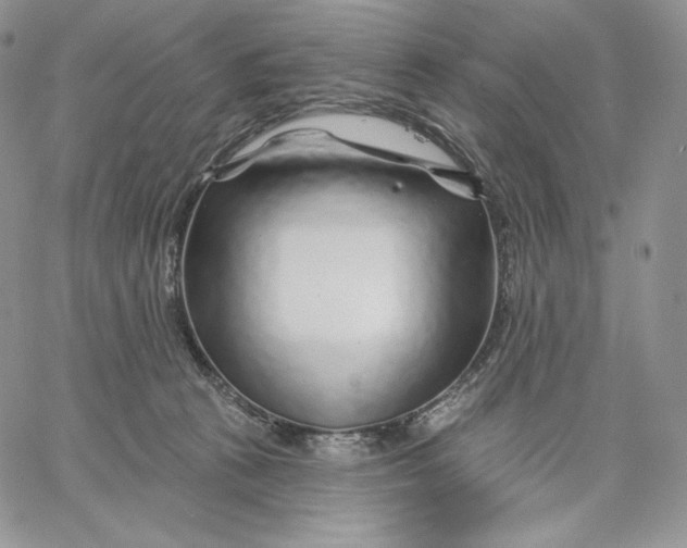 X0000060580273200511241349