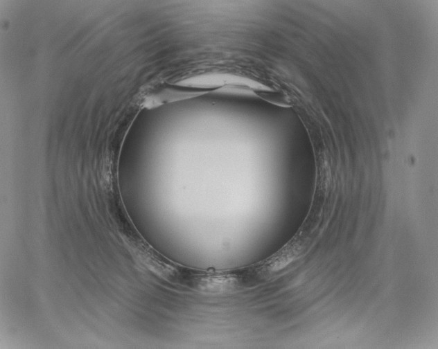 X0000060580274200511241349