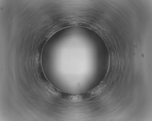 X0000060580275200511241349