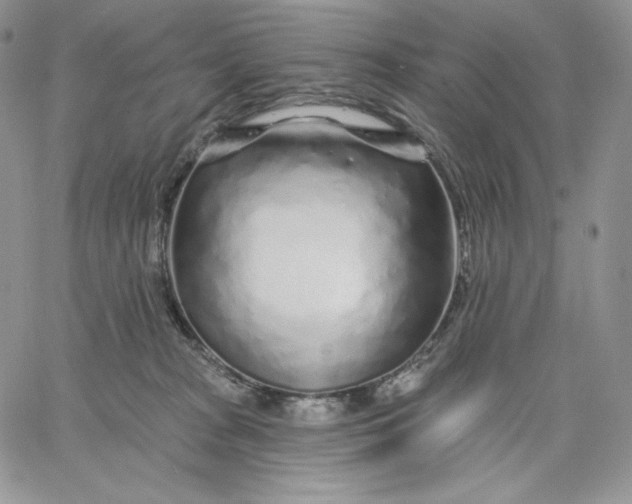 X0000060580277200511241349