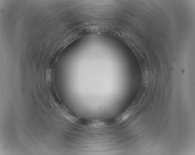 X0000060580278200511241349