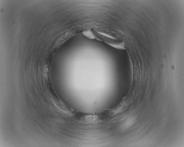 X0000060580279200511241349