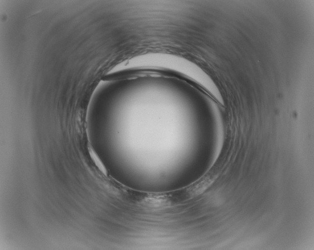 X0000060580280200511241349