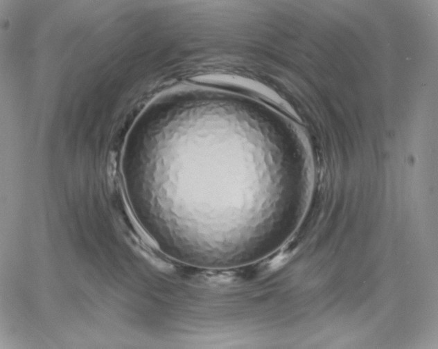 X0000060580284200511241349