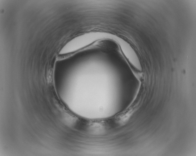 X0000060580285200511241349